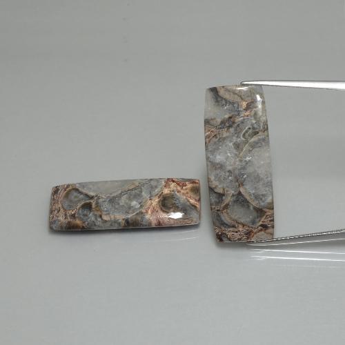 Mehrfarbig Jaspis Edelstein - 12.1ct Baguette Cabochon (ID: 399333)