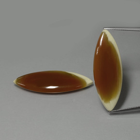 22.63 ct Multicolor Jasper Gemstone, Jasper Gem in Marquise Cabochon Shape for Sale.