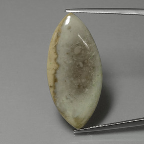 Multicolore Diaspro Gem - 15.9ct Cabochon taglio marquise (ID: 399397)