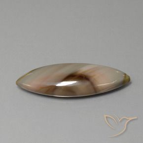 13.74 ct Multicolor Jasper Stone, Natural Jasper in Marquise Cabochon Shape for Sale