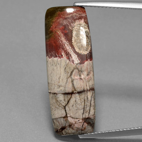 12.07 ct Multicolor Jasper Gemstone, Jasper Gem in Baguette Cabochon Shape for Sale.
