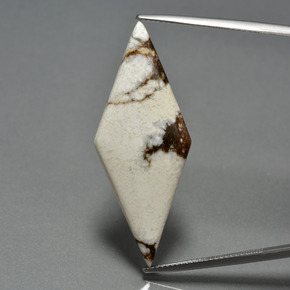 15.46 ct Multicolor Jasper Gemstone, Jasper Gem in Rhomb Cabochon Shape for Sale.