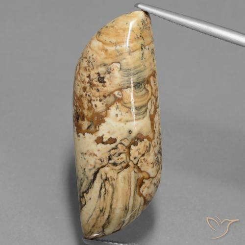27.33ct Natural Multicolor Jasper, Fancy, Opaque