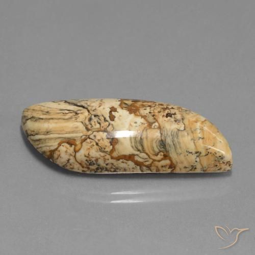 27.33 ct Multicolor Jasper Stone, Natural Jasper in Fancy Cabochon Shape for Sale