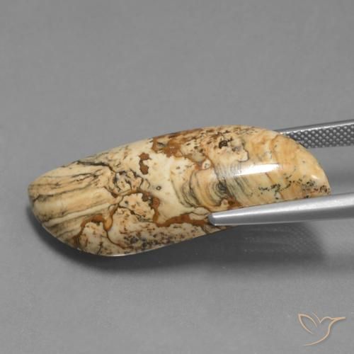 Jasper Gemstone in 35.7 x 13 mm Size for Sale, Jasper Stone in Multicolor Color