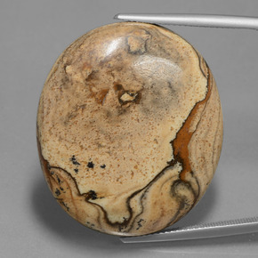 50.68 ct Multicolor Jasper Gemstone, Jasper Gem in Oval Cabochon Shape for Sale.