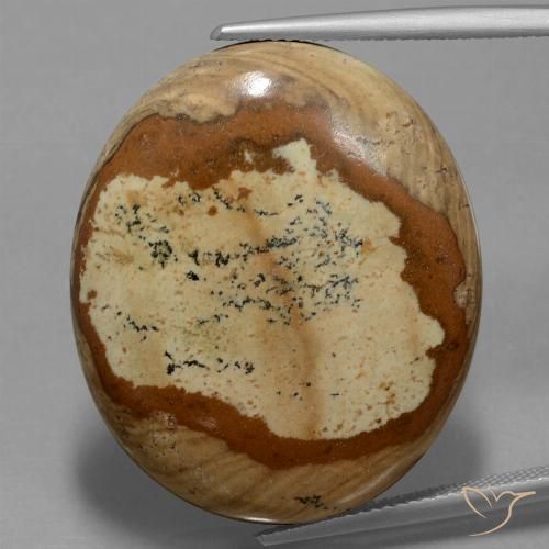 44.93ct Natural Multicolor Jasper, Oval, Opaque