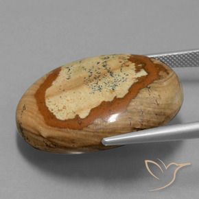 Jasper Gemstone in 29.7 x 25.1 mm Size for Sale, Jasper Stone in Multicolor Color