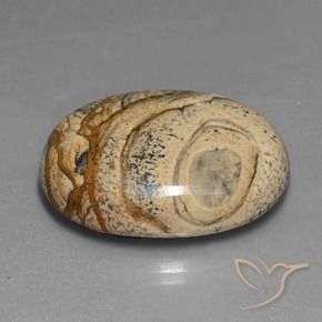 48.37 ct Multicolor Jasper Stone, Natural Jasper in Oval Cabochon Shape for Sale