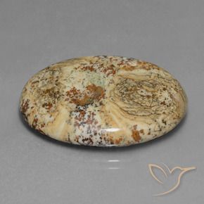 37.65 ct Multicolor Jasper Stone, Natural Jasper in Oval Cabochon Shape for Sale