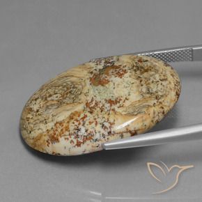 Jasper Gemstone in 32.5 x 24.7 mm Size for Sale, Jasper Stone in Multicolor Color