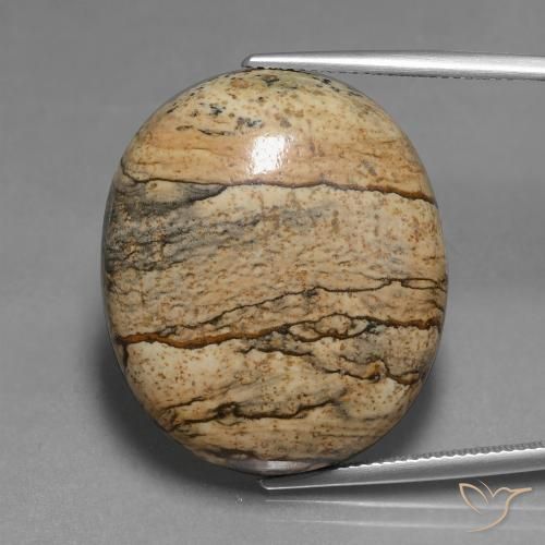46.30ct Natural Multicolor Jasper, Oval, Opaque