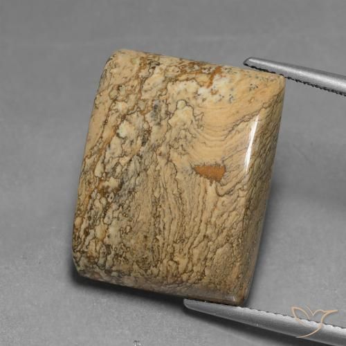 28.04ct Natural Multicolor Jasper, Baguette, Opaque