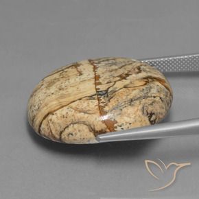 Jasper Gemstone in 26.7 x 24.6 mm Size for Sale, Jasper Stone in Multicolor Color