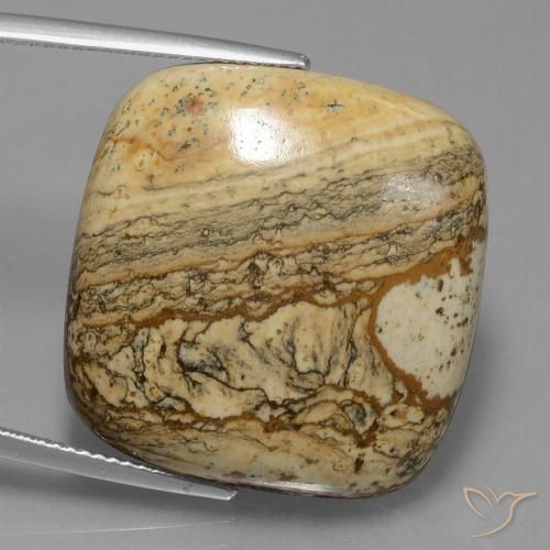 38.72ct Natural Multicolor Jasper, Cushion, Opaque