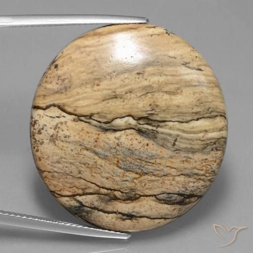 33.71ct Natural Multicolor Jasper, Oval, Opaque