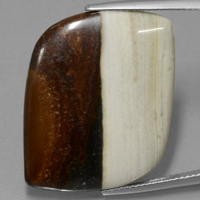 Multicolor Jasper Gem - 24.8ct Fancy Cabochon (ID: 433346)