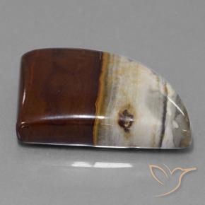 40.76 ct Multicolor Jasper Stone, Natural Jasper in Shark Fin Cabochon Shape for Sale