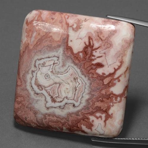 Multicolor Jasper Gem - 64.9ct Cushion Cabochon (ID: 447426)