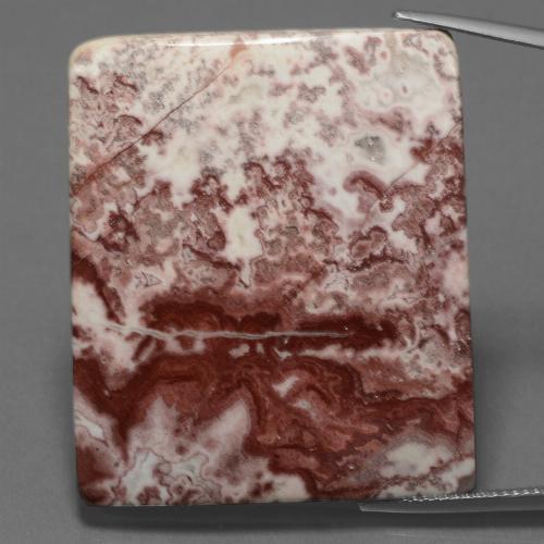 Многоцветный Яшма Камень - 64.5ct Подушечка Кабошон (ID: 447427)