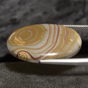 23.47 ct Multicolor Jasper Stone, Natural Jasper in Oval Cabochon Shape for Sale