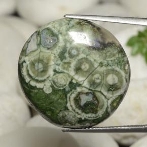 26.02 ct Multicolor Jasper Gemstone, Jasper Gem in Round Cabochon Shape for Sale.