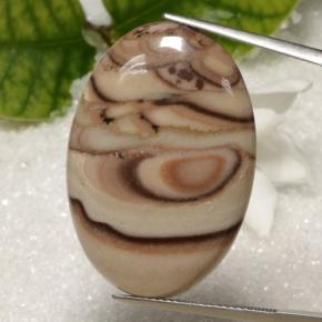 Multicolor Jasper Gem - 24.6ct Oval Cabochon (ID: 471422)