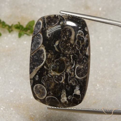 33.92ct Natural Multicolor Jasper, Cushion, Opaque