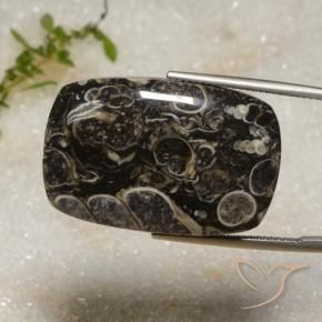 33.92 ct Multicolor Jasper Stone, Natural Jasper in Cushion Cabochon Shape for Sale
