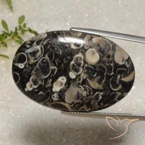 40.51 ct Multicolor Jasper Stone, Natural Jasper in Oval Cabochon Shape for Sale