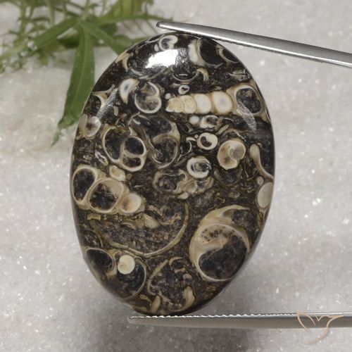 36.40ct Natural Multicolor Jasper, Oval, Opaque