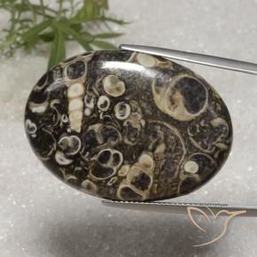 36.40 ct Multicolor Jasper Stone, Natural Jasper in Oval Cabochon Shape for Sale