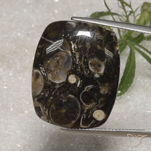 23.10ct Natural Multicolor Jasper, Cushion, Opaque