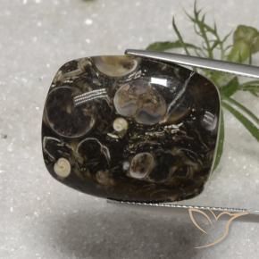 23.10 ct Multicolor Jasper Stone, Natural Jasper in Cushion Cabochon Shape for Sale
