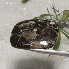 Jasper Gemstone in 25.5 x 20.8 mm Size for Sale, Jasper Stone in Multicolor Color
