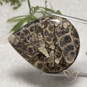 62.18 ct Multicolor Jasper Stone, Natural Jasper in Pear Cabochon Shape for Sale