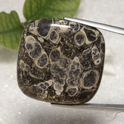 55.16ct Natural Multicolor Jasper, Cushion, Opaque
