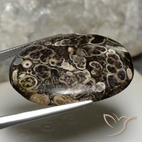 Jasper Gemstone in 32.9 x 27.1 mm Size for Sale, Jasper Stone in Multicolor Color