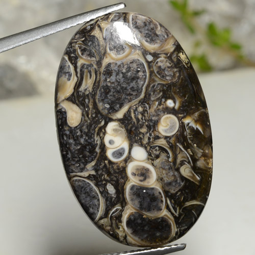 Multicolor Jasper Gem - 20.5ct Oval Cabochon (ID: 471483)