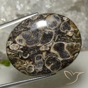 37.90 ct Multicolor Jasper Stone, Natural Jasper in Oval Cabochon Shape for Sale
