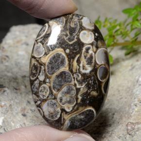 48.18 ct Multicolor Jasper Gemstone, Jasper Gem in Oval Cabochon Shape for Sale.