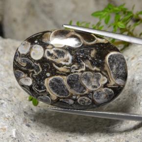 48.18 ct Multicolor Jasper Stone, Natural Jasper in Oval Cabochon Shape for Sale