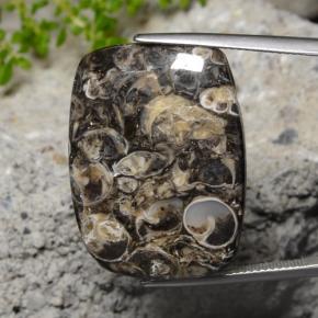 Многоцветный Яшма Камень - 33.9ct Подушечка Кабошон (ID: 472191)