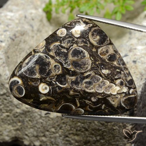 41.13ct Natural Multicolor Jasper, Trillion, Opaque