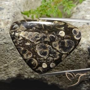 41.13 ct Multicolor Jasper Stone, Natural Jasper in Trillion Cabochon Shape for Sale
