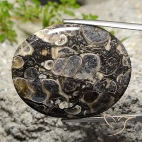 34.14 ct Multicolor Jasper Stone, Natural Jasper in Oval Cabochon Shape for Sale