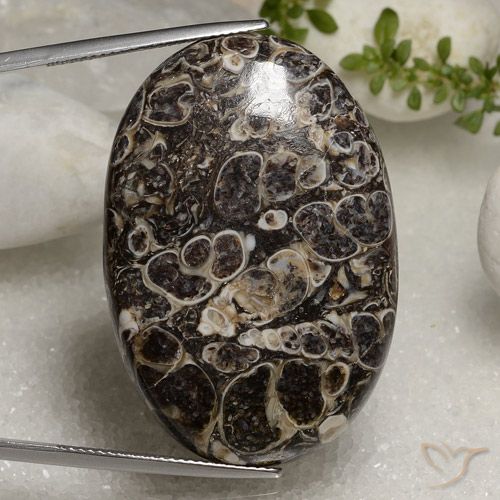 50.37ct Natural Multicolor Jasper, Oval, Opaque
