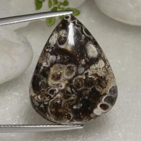22.56 ct Multicolor Jasper Gemstone, Jasper Gem in Pear Cabochon Shape for Sale.