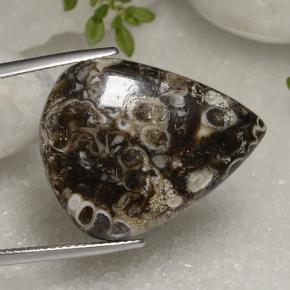 22.56 ct Multicolor Jasper Stone, Natural Jasper in Pear Cabochon Shape for Sale