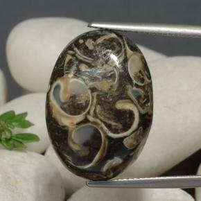 21.09 ct Multicolor Jasper Gemstone, Jasper Gem in Oval Cabochon Shape for Sale.